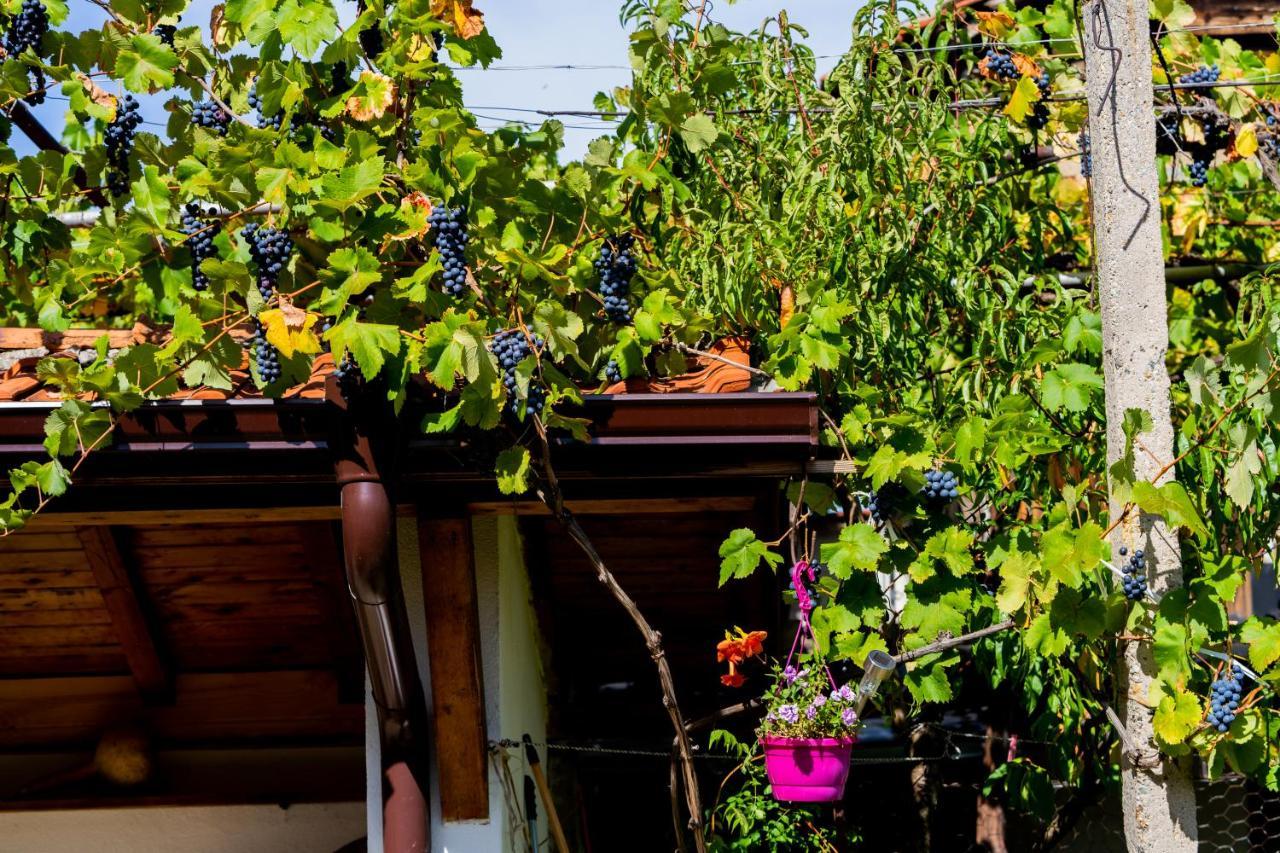 Villa Къща Лиляна à Resilovo Extérieur photo
